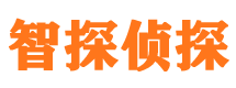 眉县侦探公司